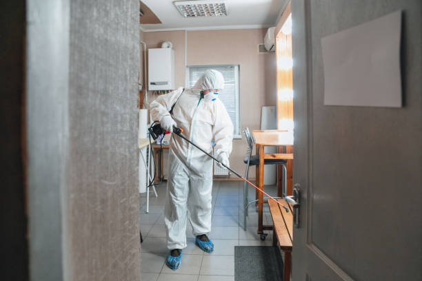 Best Comprehensive Air Testing for Mold Contaminants  in Danville, KY